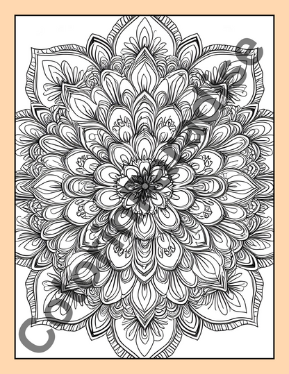 Mandala Coloring Book - ColorinParadise
