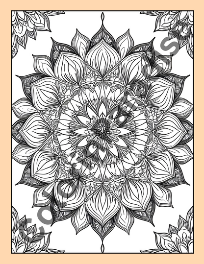 Mandala Coloring Book - ColorinParadise